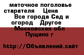 маточное поголовье старателя  › Цена ­ 3 700 - Все города Сад и огород » Другое   . Московская обл.,Пущино г.